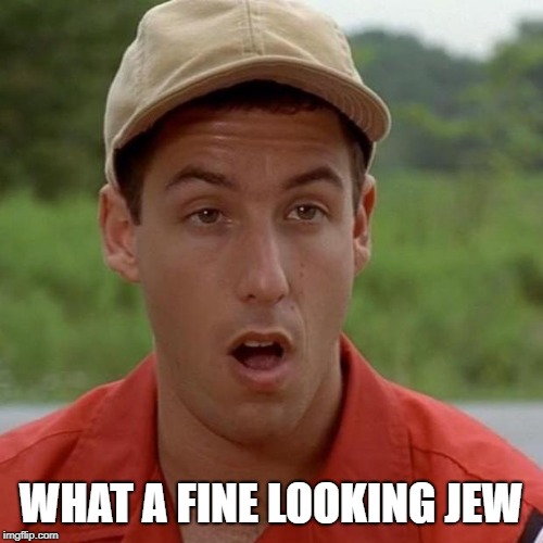 Adam Sandler mouth dropped | WHAT A FINE LOOKING JEW | image tagged in adam sandler mouth dropped | made w/ Imgflip meme maker