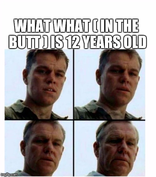 Matt Damon gets older | WHAT WHAT ( IN THE BUTT ) IS 12 YEARS OLD | image tagged in matt damon gets older | made w/ Imgflip meme maker