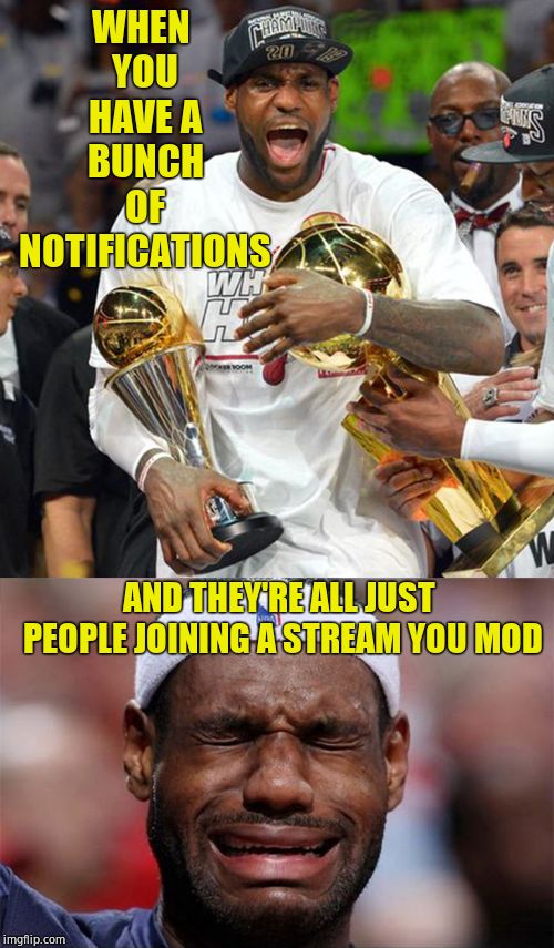 Thought some people on this stream would enjoy this | WHEN YOU HAVE A BUNCH OF NOTIFICATIONS; AND THEY'RE ALL JUST PEOPLE JOINING A STREAM YOU MOD | image tagged in lebron happy sad,imgflip mods,notifications,memes | made w/ Imgflip meme maker