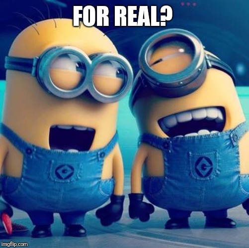 Minions laughing | FOR REAL? | image tagged in minions laughing | made w/ Imgflip meme maker