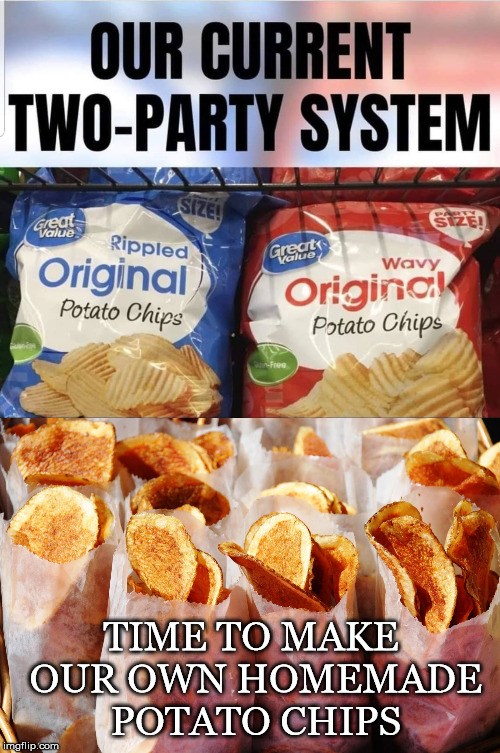 It's Been Time... For a While Now | TIME TO MAKE OUR OWN HOMEMADE POTATO CHIPS | image tagged in to party system,democrats,republicans,duopoly,potato chips,homemade | made w/ Imgflip meme maker