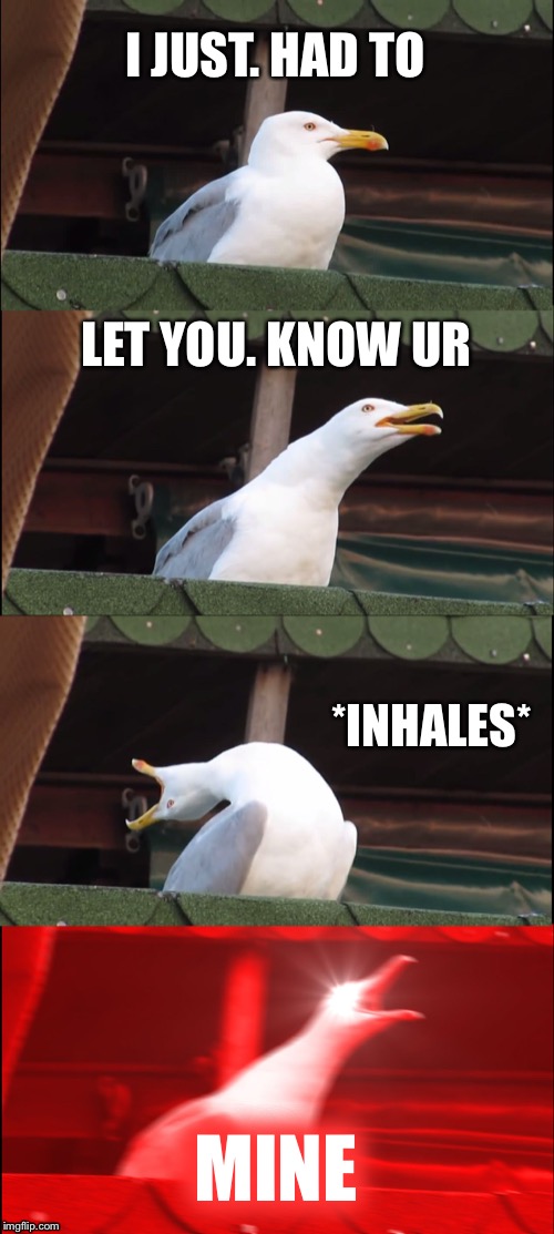 Inhaling Seagull | I JUST. HAD TO; LET YOU. KNOW UR; *INHALES*; MINE | image tagged in memes,inhaling seagull | made w/ Imgflip meme maker