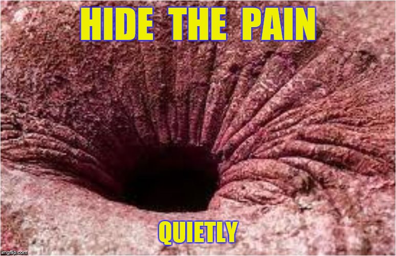 HIDE  THE  PAIN QUIETLY | made w/ Imgflip meme maker