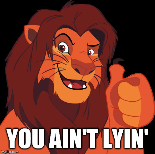 I hope I am not | YOU AIN'T LYIN' | image tagged in lion thumbs up,lion,play on words,funny | made w/ Imgflip meme maker