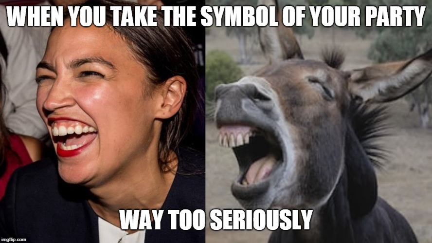 AOC ASS | WHEN YOU TAKE THE SYMBOL OF YOUR PARTY; WAY TOO SERIOUSLY | image tagged in aoc donkey,alexandria ocasio-cortez,libtard,democrats,liberals,jackass | made w/ Imgflip meme maker