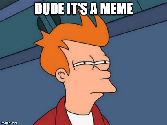 Futurama Fry Meme | DUDE IT'S A MEME | image tagged in memes,futurama fry | made w/ Imgflip meme maker