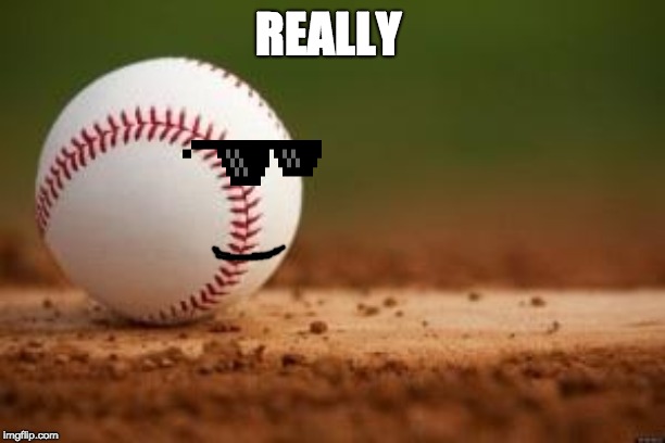 Baseball | REALLY | image tagged in baseball | made w/ Imgflip meme maker