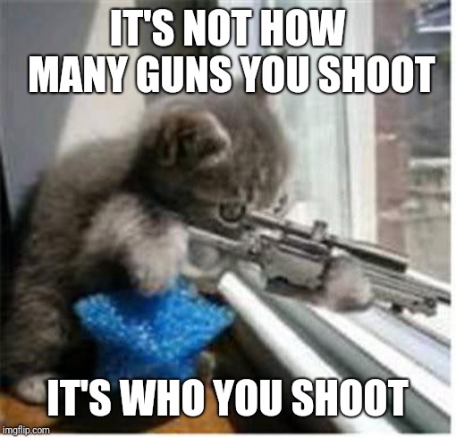 cats with guns | IT'S NOT HOW MANY GUNS YOU SHOOT; IT'S WHO YOU SHOOT | image tagged in cats with guns | made w/ Imgflip meme maker