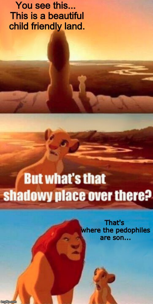 Simba Shadowy Place | You see this... This is a beautiful child friendly land. That's where the pedophiles are son... | image tagged in memes,simba shadowy place | made w/ Imgflip meme maker