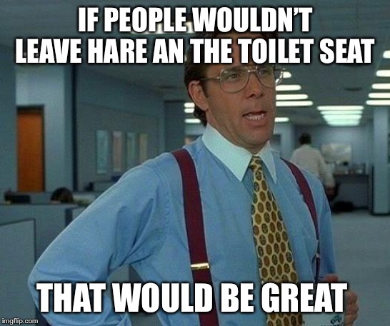 That Would Be Great | IF PEOPLE WOULDN’T LEAVE HARE AN THE TOILET SEAT; THAT WOULD BE GREAT | image tagged in memes,that would be great | made w/ Imgflip meme maker
