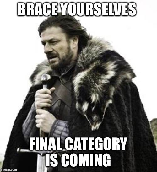 ned stark | BRACE YOURSELVES; FINAL CATEGORY IS COMING | image tagged in ned stark | made w/ Imgflip meme maker