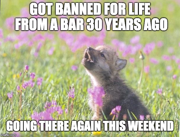 Baby Insanity Wolf | GOT BANNED FOR LIFE FROM A BAR 30 YEARS AGO; GOING THERE AGAIN THIS WEEKEND | image tagged in memes,baby insanity wolf,AdviceAnimals | made w/ Imgflip meme maker