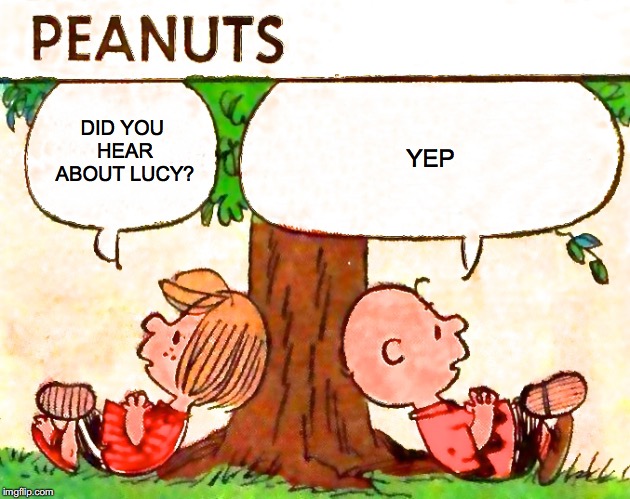 Peanuts Charlie Brown Peppermint Patty | DID YOU HEAR ABOUT LUCY? YEP | image tagged in peanuts charlie brown peppermint patty | made w/ Imgflip meme maker