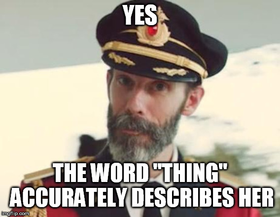 Captain Obvious | YES THE WORD "THING" ACCURATELY DESCRIBES HER | image tagged in captain obvious | made w/ Imgflip meme maker