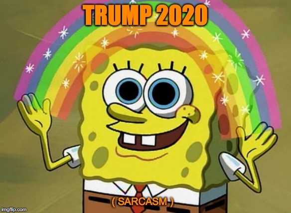 Imagination Spongebob | TRUMP 2020; ( SARCASM ) | image tagged in memes,imagination spongebob | made w/ Imgflip meme maker