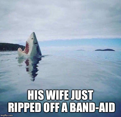 AHHHHhhhowwwiez! | HIS WIFE JUST RIPPED OFF A BAND-AID | image tagged in shark_head_out_of_water | made w/ Imgflip meme maker