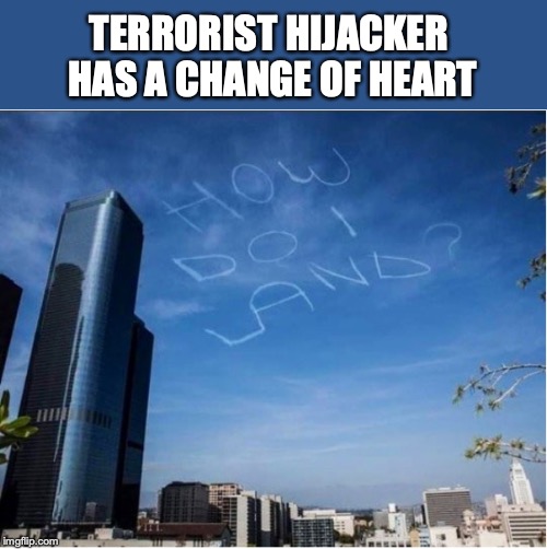 Because you only learned how to take off | TERRORIST HIJACKER HAS A CHANGE OF HEART | image tagged in flying,terrorists | made w/ Imgflip meme maker