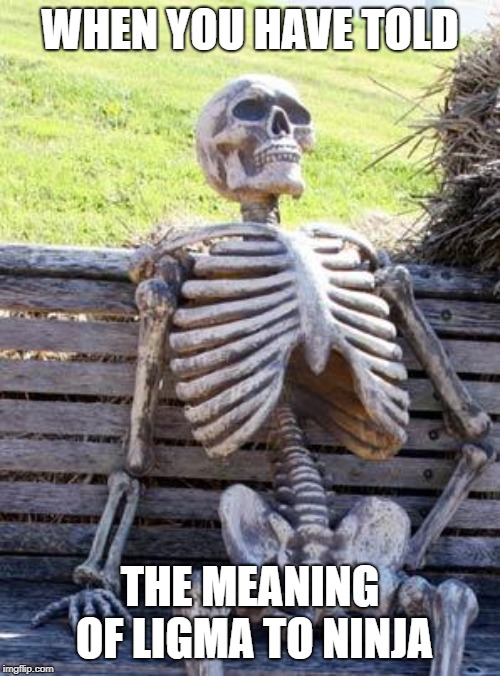 Waiting Skeleton | WHEN YOU HAVE TOLD; THE MEANING OF LIGMA TO NINJA | image tagged in memes,waiting skeleton | made w/ Imgflip meme maker