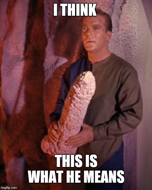 Kirk dildo | I THINK THIS IS WHAT HE MEANS | image tagged in kirk dildo | made w/ Imgflip meme maker