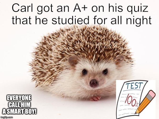 Carl got an A+ on his quiz that he studied for all night; EVERYONE CALL HIM A SMART BOY! | image tagged in memes | made w/ Imgflip meme maker