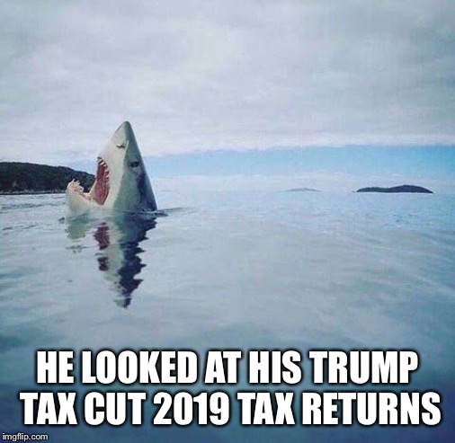FFFfff********ckkkk!!!! | HE LOOKED AT HIS TRUMP TAX CUT 2019 TAX RETURNS | image tagged in shark_head_out_of_water | made w/ Imgflip meme maker
