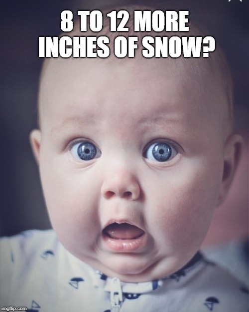 Midwest Winter Won't End | 8 TO 12 MORE INCHES OF SNOW? | image tagged in shocked baby | made w/ Imgflip meme maker