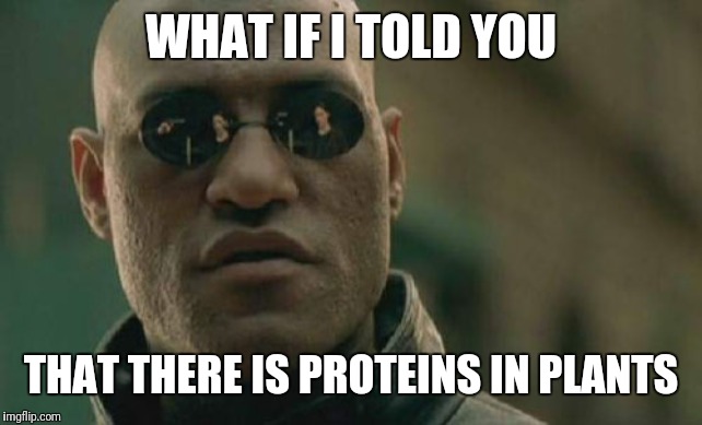 Matrix Morpheus Meme | WHAT IF I TOLD YOU; THAT THERE IS PROTEINS IN PLANTS | image tagged in memes,matrix morpheus | made w/ Imgflip meme maker