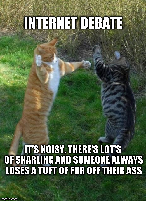 Internet Debate | INTERNET DEBATE; IT'S NOISY, THERE'S LOT'S OF SNARLING AND SOMEONE ALWAYS LOSES A TUFT OF FUR OFF THEIR ASS | image tagged in cat fights | made w/ Imgflip meme maker