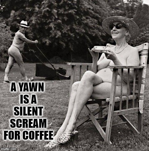 Naked & Unafraid —with my Morning Joe | A YAWN IS A SILENT SCREAM FOR COFFEE | image tagged in vince vance,coffee,caffeine,coffee addict,morning joe,naked woman | made w/ Imgflip meme maker