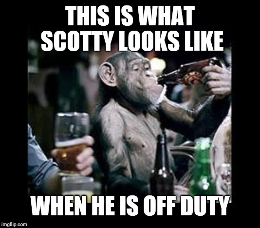 Drunk Chimp Beer Drinker | THIS IS WHAT SCOTTY LOOKS LIKE; WHEN HE IS OFF DUTY | image tagged in drunk chimp beer drinker | made w/ Imgflip meme maker