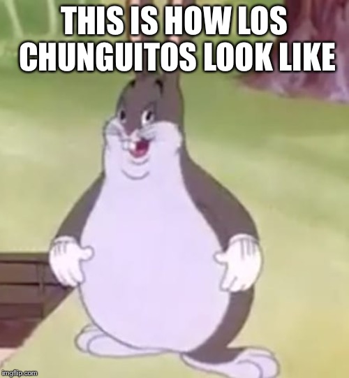 Big Chungus | THIS IS HOW LOS CHUNGUITOS LOOK LIKE | image tagged in big chungus | made w/ Imgflip meme maker