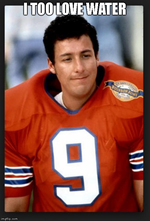 The waterboy | I TOO LOVE WATER | image tagged in the waterboy | made w/ Imgflip meme maker