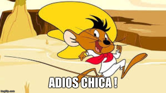 Speedy Gonzales | ADIOS CHICA ! | image tagged in speedy gonzales | made w/ Imgflip meme maker