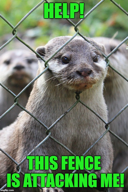 Otter fence | HELP! THIS FENCE IS ATTACKING ME! | image tagged in otter fence | made w/ Imgflip meme maker
