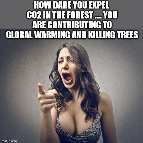 HOW DARE YOU EXPEL CO2 IN THE FOREST .... YOU ARE CONTRIBUTING TO GLOBAL WARMING AND KILLING TREES | image tagged in crazy girl | made w/ Imgflip meme maker