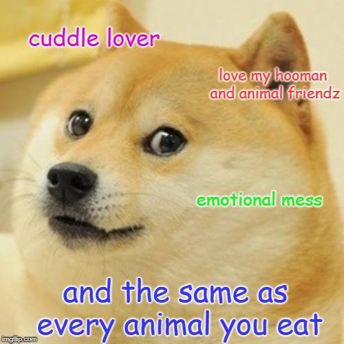 Doge | cuddle lover; love my hooman and animal friendz; emotional mess; and the same as every animal you eat | image tagged in memes,doge | made w/ Imgflip meme maker