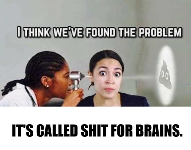 #AOC: I think we've found the problem. | IT'S CALLED SHIT FOR BRAINS. | image tagged in crazy alexandria ocasio-cortez,shit for brains,aoc,the handwriting is on the wall,buggeyes | made w/ Imgflip meme maker