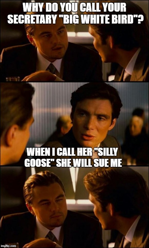 Di Caprio Inception | WHY DO YOU CALL YOUR SECRETARY "BIG WHITE BIRD"? WHEN I CALL HER "SILLY GOOSE" SHE WILL SUE ME | image tagged in di caprio inception | made w/ Imgflip meme maker