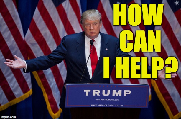 Donald Trump | HOW CAN I HELP? | image tagged in donald trump | made w/ Imgflip meme maker