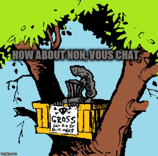 HOW ABOUT NON, VOUS CHAT. | made w/ Imgflip meme maker