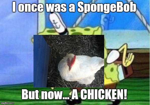 I once was a SpongeBob; But now... A CHICKEN! | image tagged in spongebob | made w/ Imgflip meme maker