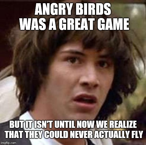 Conspiracy Keanu Meme | ANGRY BIRDS WAS A GREAT GAME; BUT IT ISN'T UNTIL NOW WE REALIZE THAT THEY COULD NEVER ACTUALLY FLY | image tagged in memes,conspiracy keanu | made w/ Imgflip meme maker