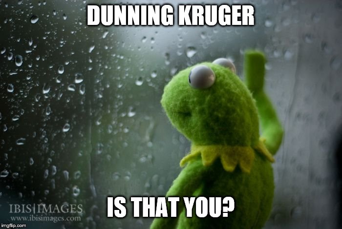 kermit window | DUNNING KRUGER IS THAT YOU? | image tagged in kermit window | made w/ Imgflip meme maker
