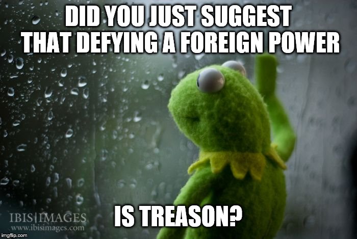 kermit window | DID YOU JUST SUGGEST THAT DEFYING A FOREIGN POWER IS TREASON? | image tagged in kermit window | made w/ Imgflip meme maker