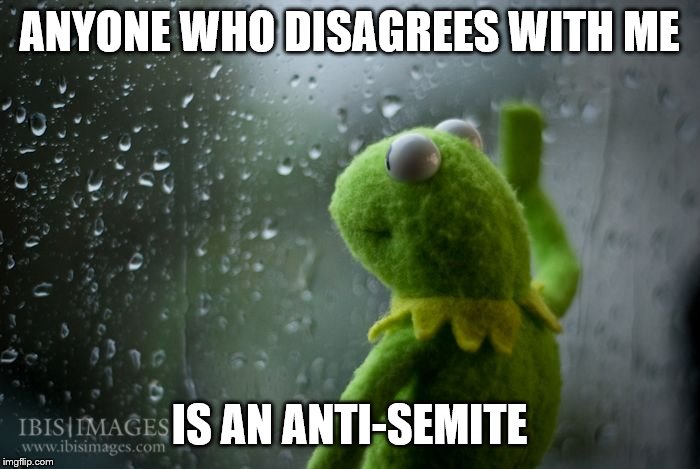 kermit window | ANYONE WHO DISAGREES WITH ME IS AN ANTI-SEMITE | image tagged in kermit window | made w/ Imgflip meme maker