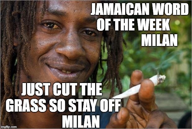 jamaican word of the week | JAMAICAN WORD OF THE WEEK                     MILAN; JUST CUT THE GRASS SO STAY OFF              MILAN | image tagged in get off my lawn | made w/ Imgflip meme maker