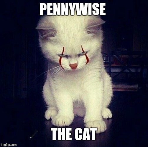 PENNYWISE; THE CAT | image tagged in it,pennywise cat | made w/ Imgflip meme maker