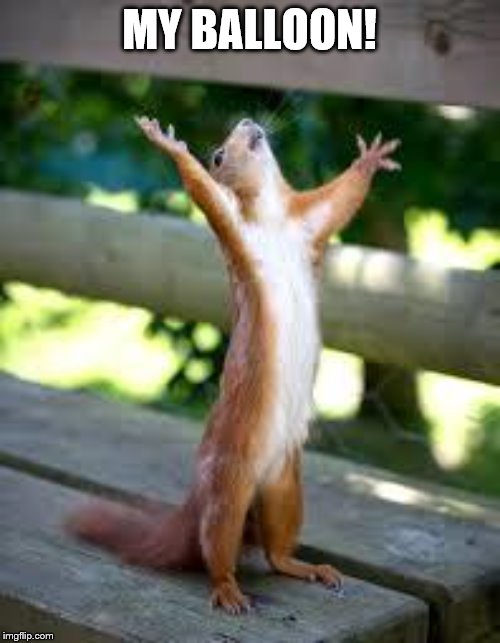 Praise Squirrel | MY BALLOON! | image tagged in praise squirrel | made w/ Imgflip meme maker