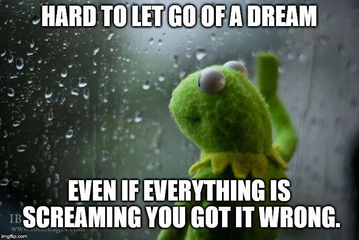 kermit window | HARD TO LET GO OF A DREAM EVEN IF EVERYTHING IS SCREAMING YOU GOT IT WRONG. | image tagged in kermit window | made w/ Imgflip meme maker