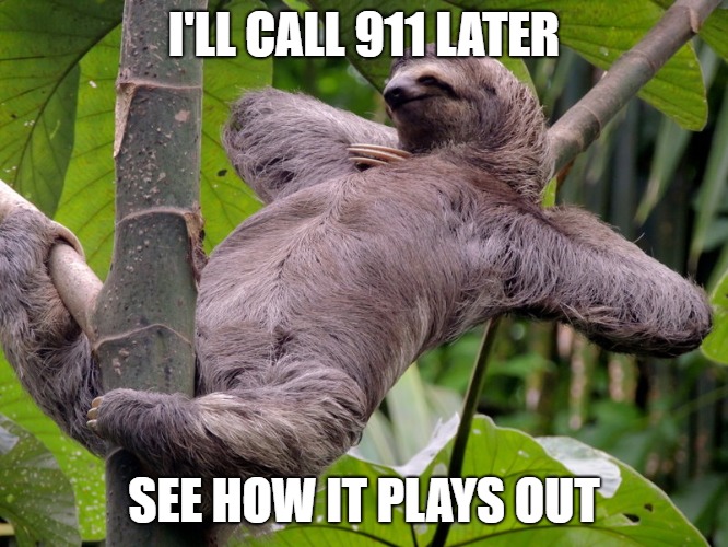 Lazy Sloth | I'LL CALL 911 LATER SEE HOW IT PLAYS OUT | image tagged in lazy sloth | made w/ Imgflip meme maker